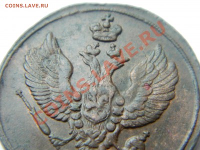 2 копейки 1811 Тетерев. - DSCN3384[1].JPG