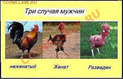 юмор - getImage
