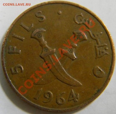 5 филс Южная Аравия 1964г. - DSCN4785_thumb