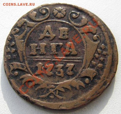 Деньга 1737 года (желтая) до 25.02.2013 в 22-00 мск - IMGP2471.JPG
