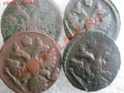 ! Полушки, 4 шт. 1736, 1737, 1738 и 1739г. До 1.03.2013г. - пт. 1м 024.JPG