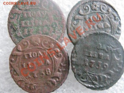 ! Полушки, 4 шт. 1736, 1737, 1738 и 1739г. До 1.03.2013г. - пт. 1м 020.JPG