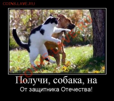 юмор - cdf56a68fbe06421edd51c4f435