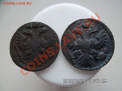 полушки 1734  1735 1736 годов - SAM_1031.JPG