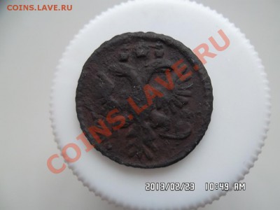 полушки 1734  1735 1736 годов - SAM_1036.JPG