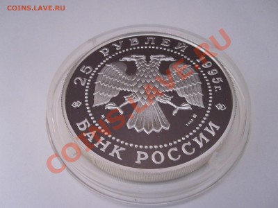 25 рублей Рысь 1995 ММД 28.02.2013 22:00 МСК - IMG_1106.JPG