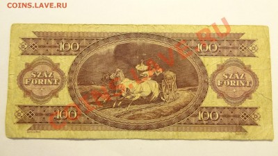 Венгрия 100 форинтов 1984 до 26.02. в 22:00 - DSC01947.JPG
