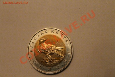 Бракованные монеты - IMG_2413.JPG