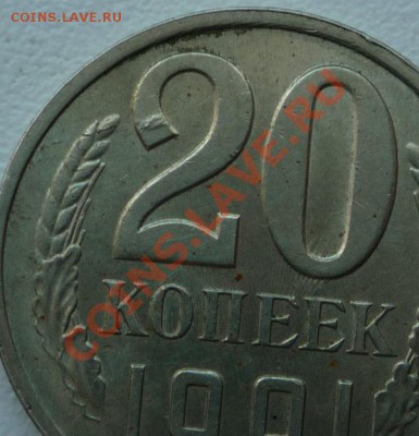 Браки - P1090989.JPG