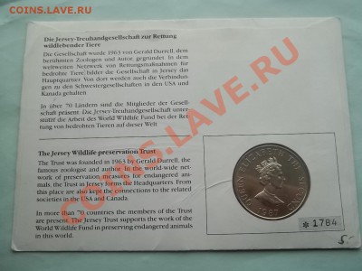ИНОСТРАННЫЕ НА ОБМЕН. - Сrauze21 547