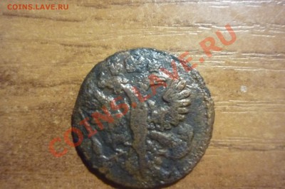 Помогите с оценкой 1 коп 1910 и полушка 1731 - P1020094.JPG