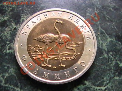 КРАСНАЯ КНИГА 1994  2ШТ-ЗУБР И ФЛАМИНГО - 3044941228_1