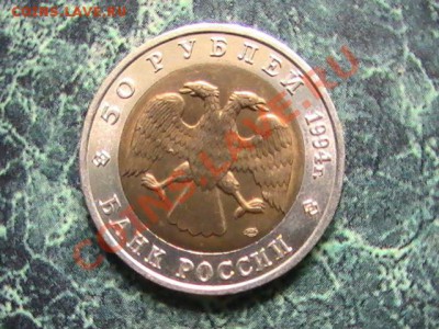КРАСНАЯ КНИГА 1994  2ШТ-ЗУБР И ФЛАМИНГО - 3044941228_3