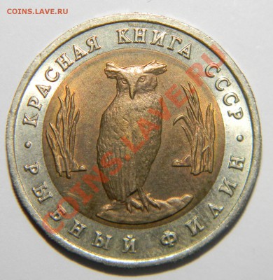 Красная книга 1991 год-----в сохране до 01.03.2013 в 22:05 - 111 7437