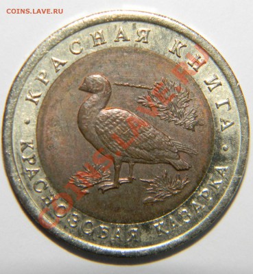 Красная книга 1992 год---------КАЗАРКА до 01 марта в 22:05 - 111 7440