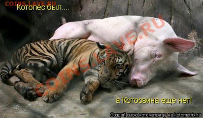 делает - прямо сейчас !!! - 520566