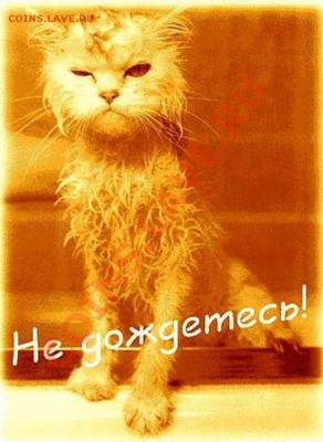 делает - прямо сейчас !!! - 1594_foto107538