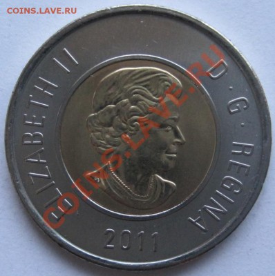 Канада 2 доллара Бореальные леса 2011, до 02.03, 22-00 - IMG_7986.JPG