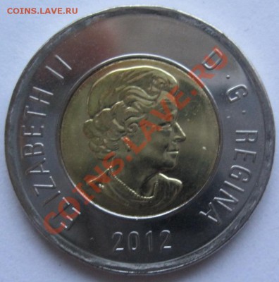 Канада 2 доллара Белый медведь 2012, до 02.03, 22-00 - IMG_7984.JPG