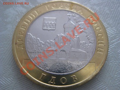 Гдов ММД без оборота - IMG_3391.JPG