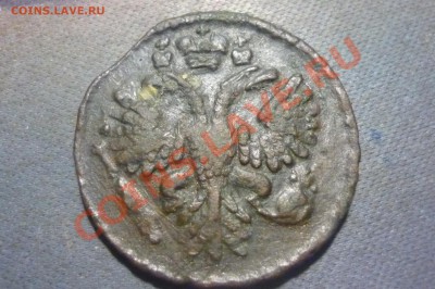 Денга 1731 год 2 черты. - P1020118.JPG