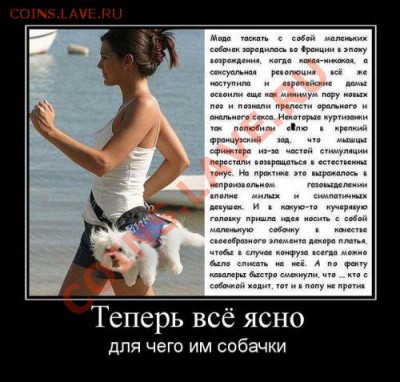 юмор - 1329695946_demotivator11