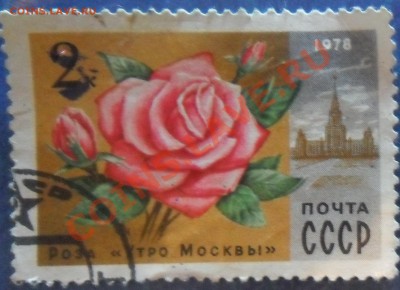 марки на оценку - SAM_3341.JPG