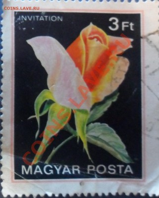 марки на оценку - SAM_33411.JPG