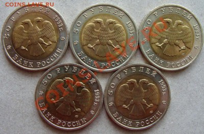 - Красная книга 1993 (5 монет) - до 07.03.2013 - DSC05862.JPG