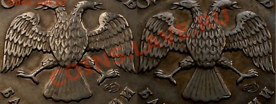 1р. 2005г. СПМД шт. А по Ю.К. подскажите по оперению орла. - IMAG1617