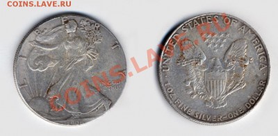 1 доллар 1906г. определение на правильность - Dollar-1906