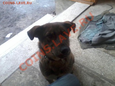 делает - прямо сейчас !!! - 2013-03-01 13.37.45