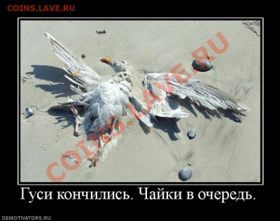 делает - прямо сейчас !!! - ochered