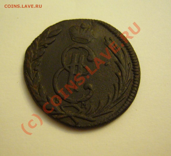 копейка сибирская 1769 км до 17.11.2009г. - P1080006