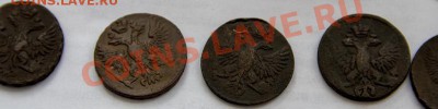 погодовка ДЕНГИ 25 штук до 21-31 9 марта - _MG_1788