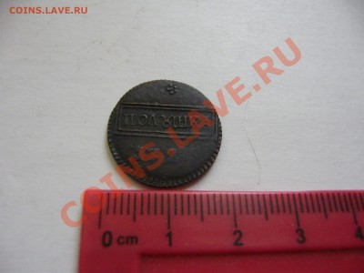 1 коп. 1727, полушка 1764 и др. - P2050611.JPG