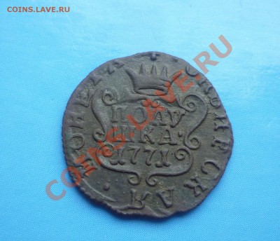 Полушка сибирская 1771 - P1100279.JPG
