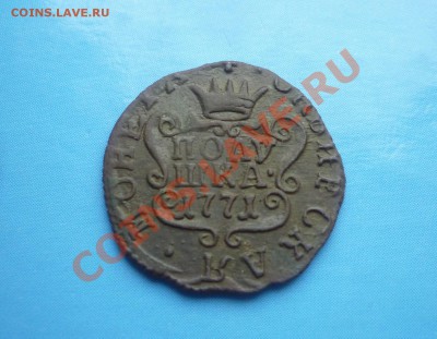 Полушка сибирская 1771 - P1100282.JPG