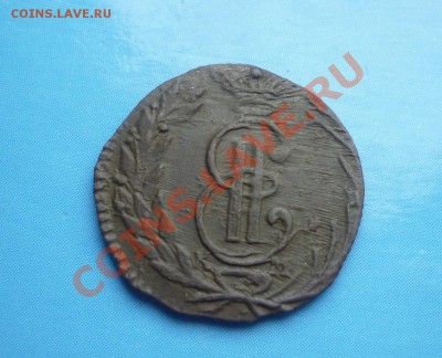 Полушка сибирская 1771 - P1100289.JPG