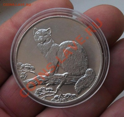 3 РУБ 1995 ГОД СОБОЛЬ каротки аук - DSCF1967яя