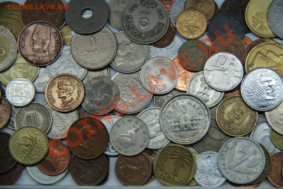 110 монет ВСЕ РАЗНЫЕ много ЭКЗОТИКИ до 7.03-в 22.30 по МСК - IMG_6831 (Large).JPG
