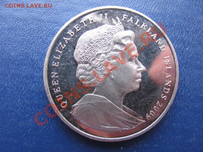 1крона Фалклендские о. 2009г (Дарвин) до 07.03. в 22°° - 1_1067x800.JPG