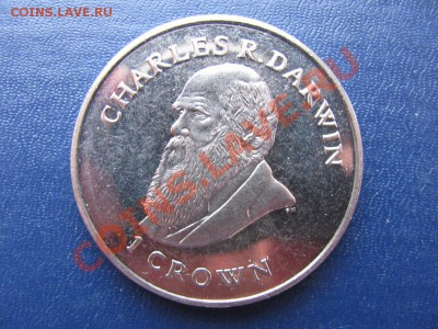 1крона Фалклендские о. 2009г (Дарвин) до 07.03. в 22°° - 1 (2)_1067x800.JPG