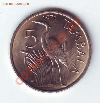 Малави. 5 Тамбала.1971. Аист. до 10 марта. в 22.00 мск - 19710005.JPG