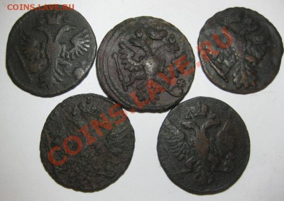 Денга 1734,1737,1739,1748,1753 - 2.JPG