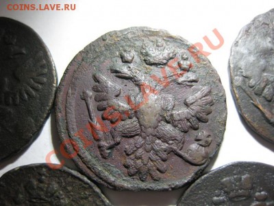 Денга 1734,1737,1739,1748,1753 - IMG_0026.JPG