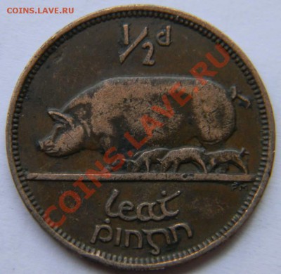 2 пенни Ирландия 1928г. - DSCN4930_thumb