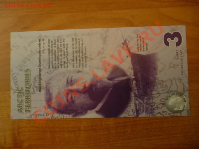 Антартика 3 доллара Птица (по фиксу) до 11.03 - P1020242.JPG