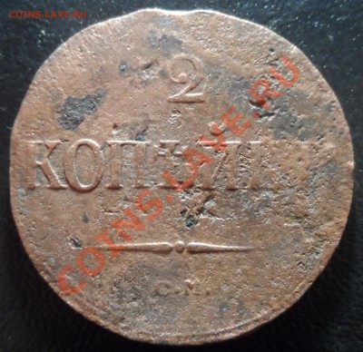 какал медный нечастый -2к1838 СМ-до 8.3.13 22 22 м - 38.JPG