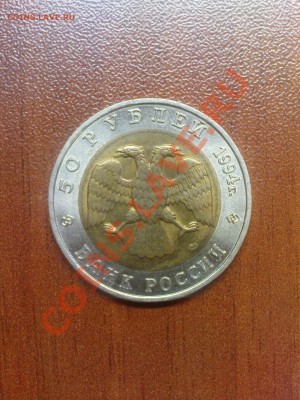 Сапсан, Фламинго и Слепыш до 08.03 - DSC05375.JPG